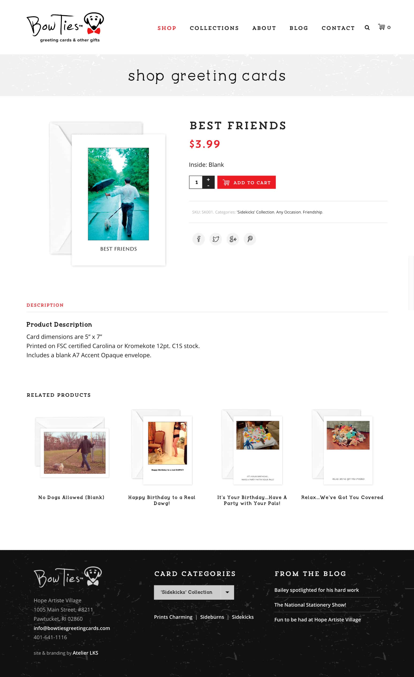 custom ecommerce shop site design