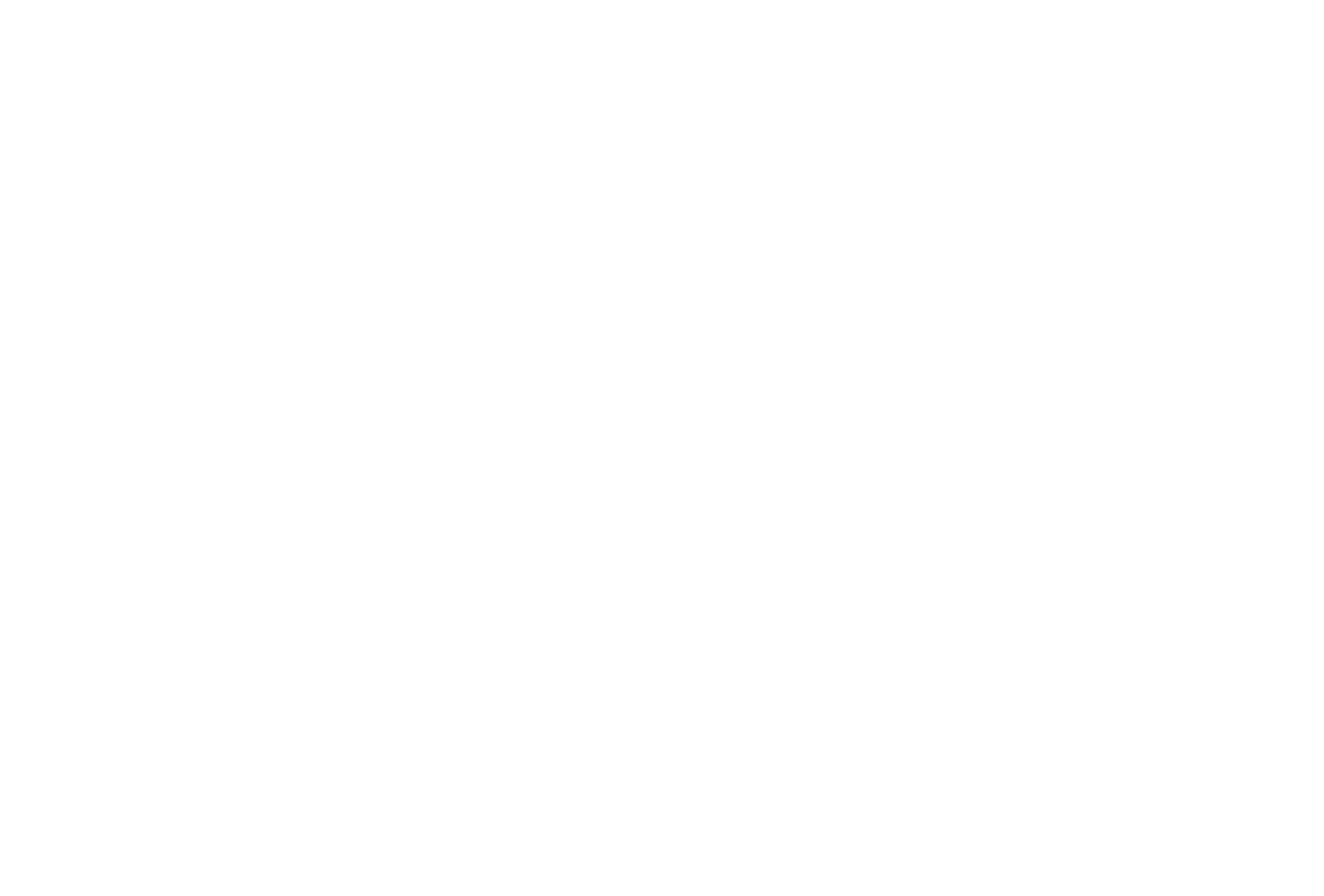 logo & web design: South Florida ENT Associates