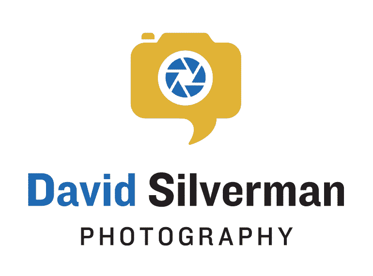 logo: David Silverman