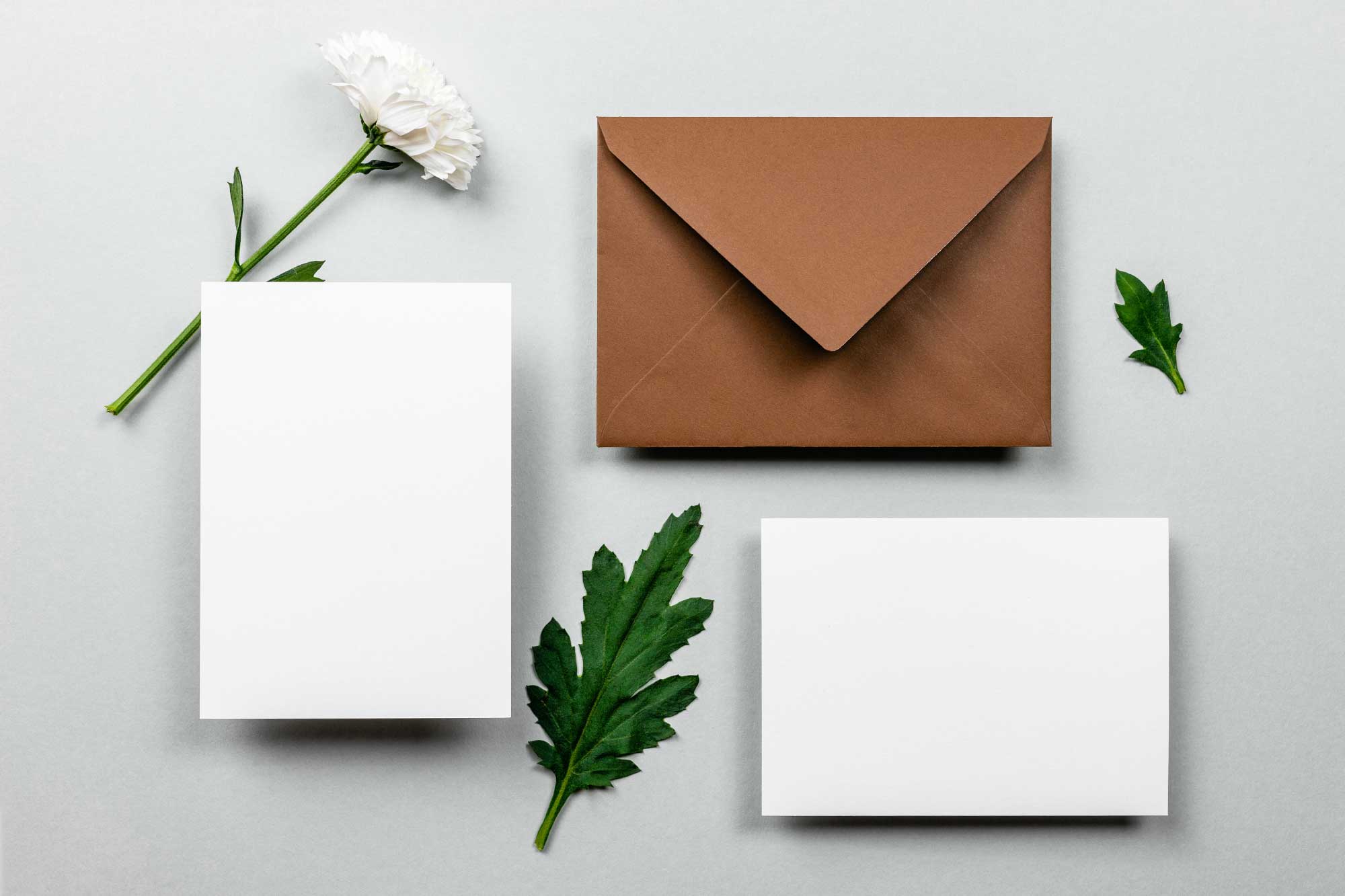 Envelope and notes