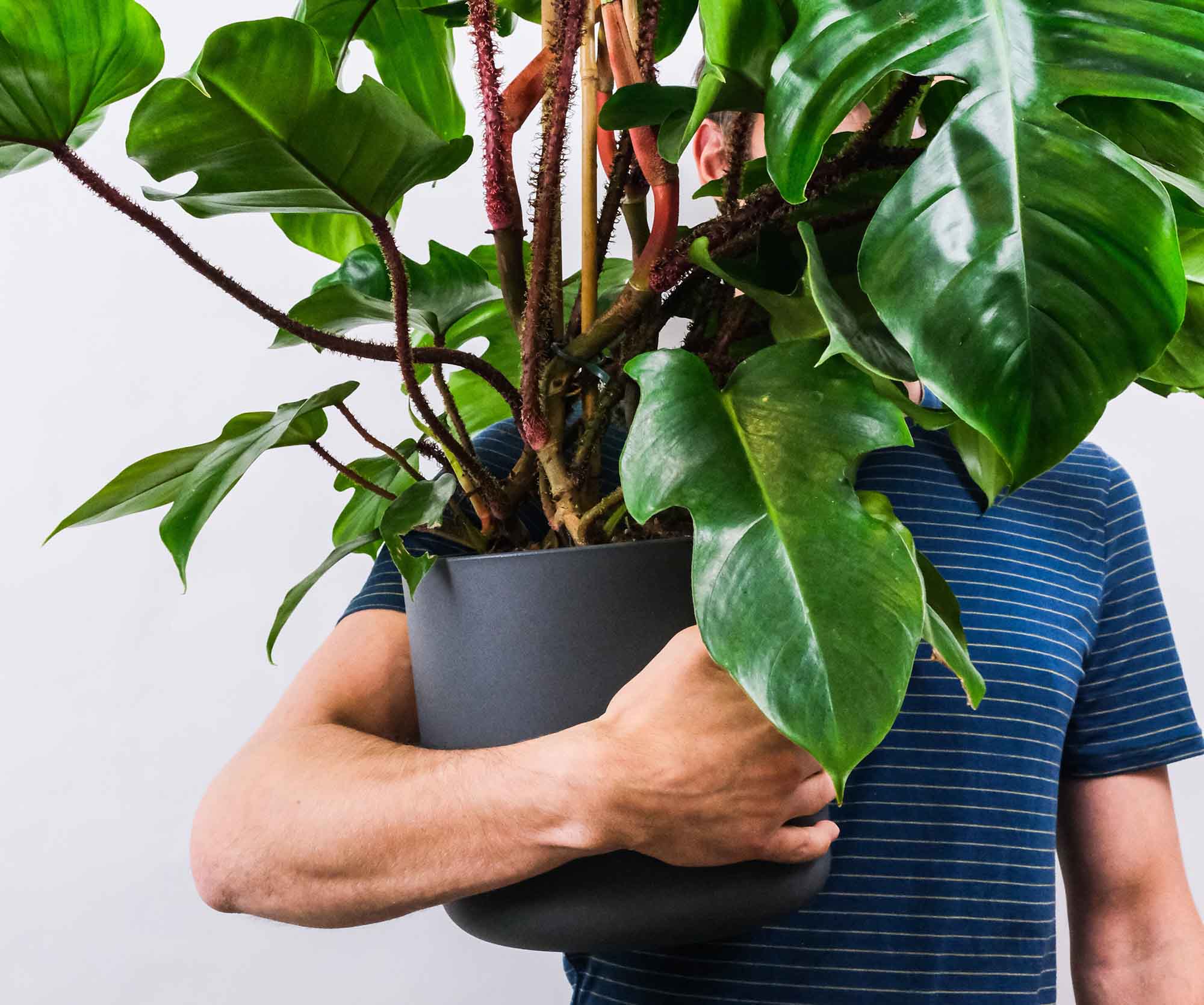 Man holding green plant